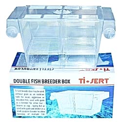 AQUAWE AKVARYUM YAVRULUĞU - ÇİFTLİ YAVRULUK